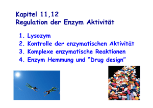 Kapitel 11,12 Regulation der Enzym Aktivität