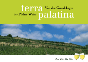 Terra Palatina