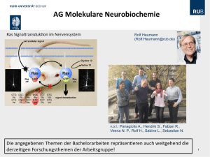 AG Molekulare Neurobiochemie - Ruhr