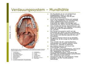 Verdauungssystem – Mundhöhle - pflegesoft.de