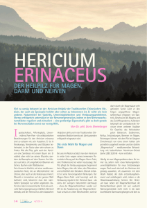 Hericium erinaceus – Der Heilpilz für Magen, Darm und Nerven