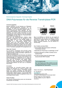 DNA-Polymerase für die Reverse Transkriptase PCR