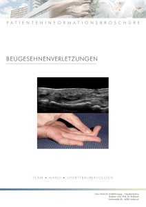 Beugesehnenverletzungen - Unfallchirurgie Innsbruck
