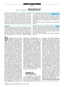 Apoptose - Deutsches Ärzteblatt