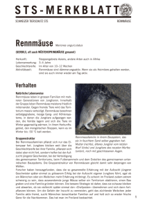 sts-merkblatt - Schweizer Tierschutz STS