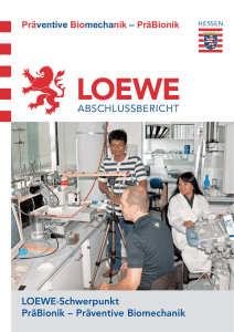Abschlussbericht LOEWE-Schwerpunkt PräBionik – Präventive