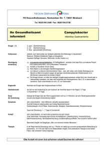 Campylobacter - infektiöse Gastroenteritis - Neckar-Odenwald