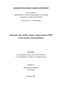 Expression des cardiac ankyrin repeat protein (CARP) in der