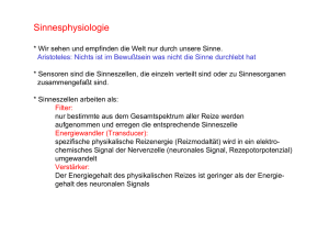 PDF-Datei "Sinnesphysiologie" - Institut für Biologie