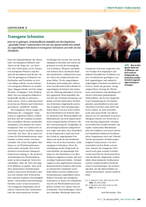 Transgene Schweine - Wiley-VCH