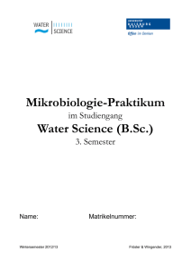 Mikrobiologie-Praktikum Water Science (B.Sc.)