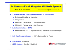Architektur + Entwicklung des SAP Basis Systems