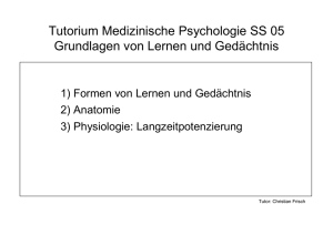 Tutorium Medizinische Psychologie SS 05 Grundlagen von Lernen