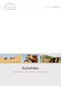 Kameliden - synlab.COM