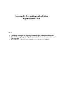 Hormonelle Regulation und zelluläre Signaltransduktion