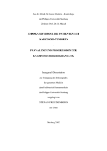 1 Einleitung - Publikationsserver UB Marburg