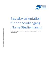 Basisdokumentation für den Studiengang
