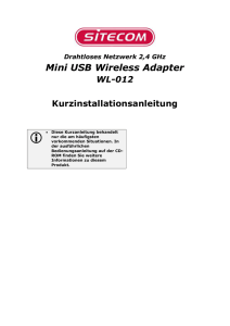 1.1 Installation des Wireless USB-Adapters unter Windows