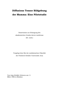 Schäfer/Dissertation