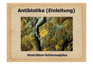 Antibiotika (Einleitung)