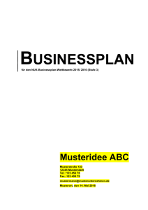 Businessplan-Vorlage zur Einreichung Stufe 3