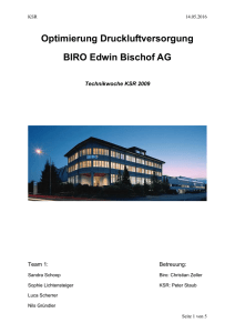 Optimierung Druckluftversorgung BIRO Edwin Bischof AG