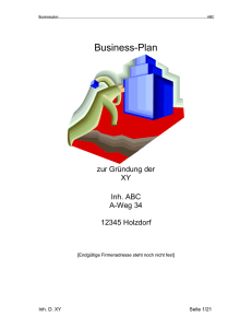 Business-Plan - klaus