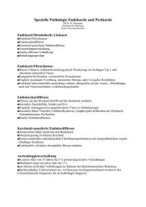 Endokard - Homepage.ruhr-uni-bochum - Ruhr
