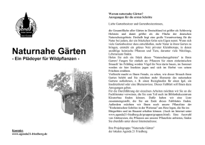 Faltblatt zum Thema „Naturnahe Gärten“