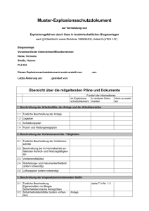 Muster-Explosionsschutz-Dokument - BG ETEM B-EW