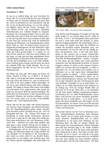 Little Animal Home Newsletter 1 / 2011 So nun ist er endlich fertig