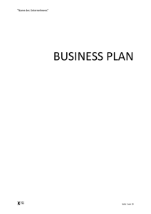 Business Plan Modell