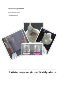 Arbeitsblatt - Unterrichtsmaterialien Chemie - Georg