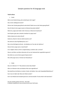 Sample questions for AS language orals Youth culture Musik Gibt es