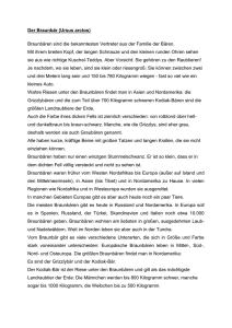 Texte-Waldtiere