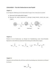 Von den Aminosäuren zum Peptid - Unterrichtsmaterialien Chemie