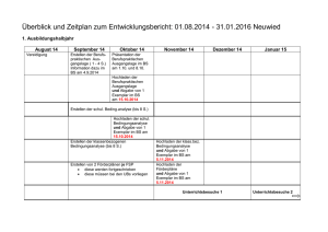 Überblick und Zeitplan zum Entwicklungsbericht: 01. 08. 2014