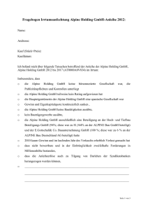 Fragebogen Irrtumsanfechtung Alpine Holding GmbH
