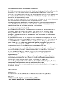 Kreisjungtierlehrschau des KV Pforzheim gibt Züchtern Zipps (12.09