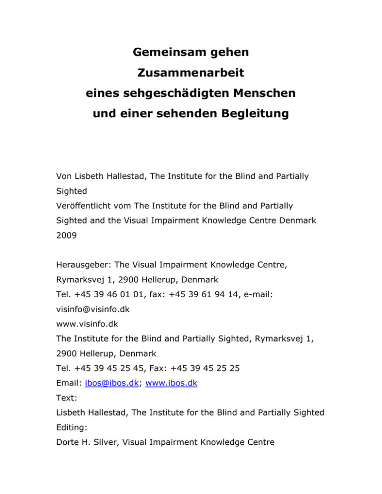 Ratschlag für die sehende Begleitung