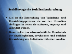 Sozialökolokisches Sozialisationsmodell