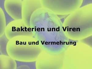 Biologie_Grundkurs_Otto_Bakterien_und_Viren