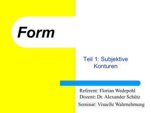 Form Teil 1 Subjektive Konturen final