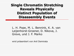 Single Chromatin Streching Reveals Physically Distrinct