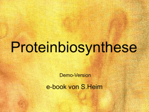 Proteinbiosynthese - Ernst-Reuter