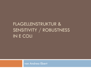 Flagellenstruktur & Sensitivity / Robustness in e coli
