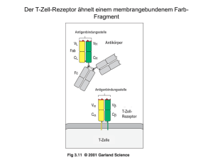T-Zell-Rezeptor