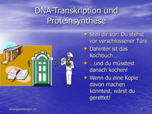 DNA-Transkription und Proteinsynthese