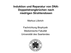 Induktion und Reparatur von DNA
