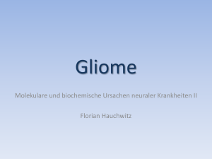Gliome - arndbaumann.de